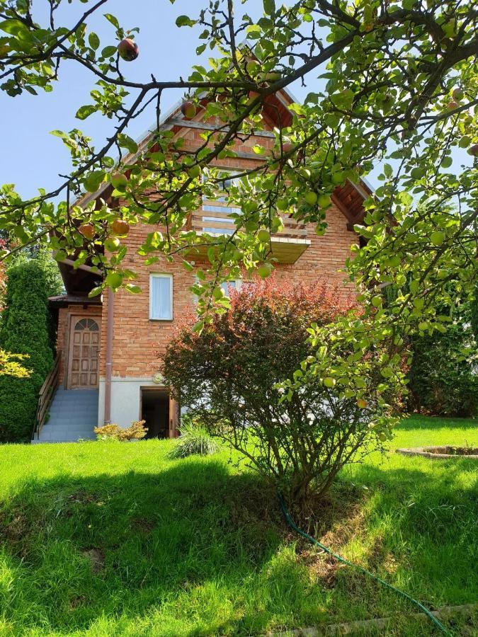 ミシレニツェ A Summer House Zarabie Domek Letniskowy Zarabieヴィラ エクステリア 写真